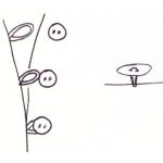 Illustration of buttons on a shirt