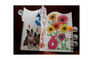 Example of contact lens case page turner